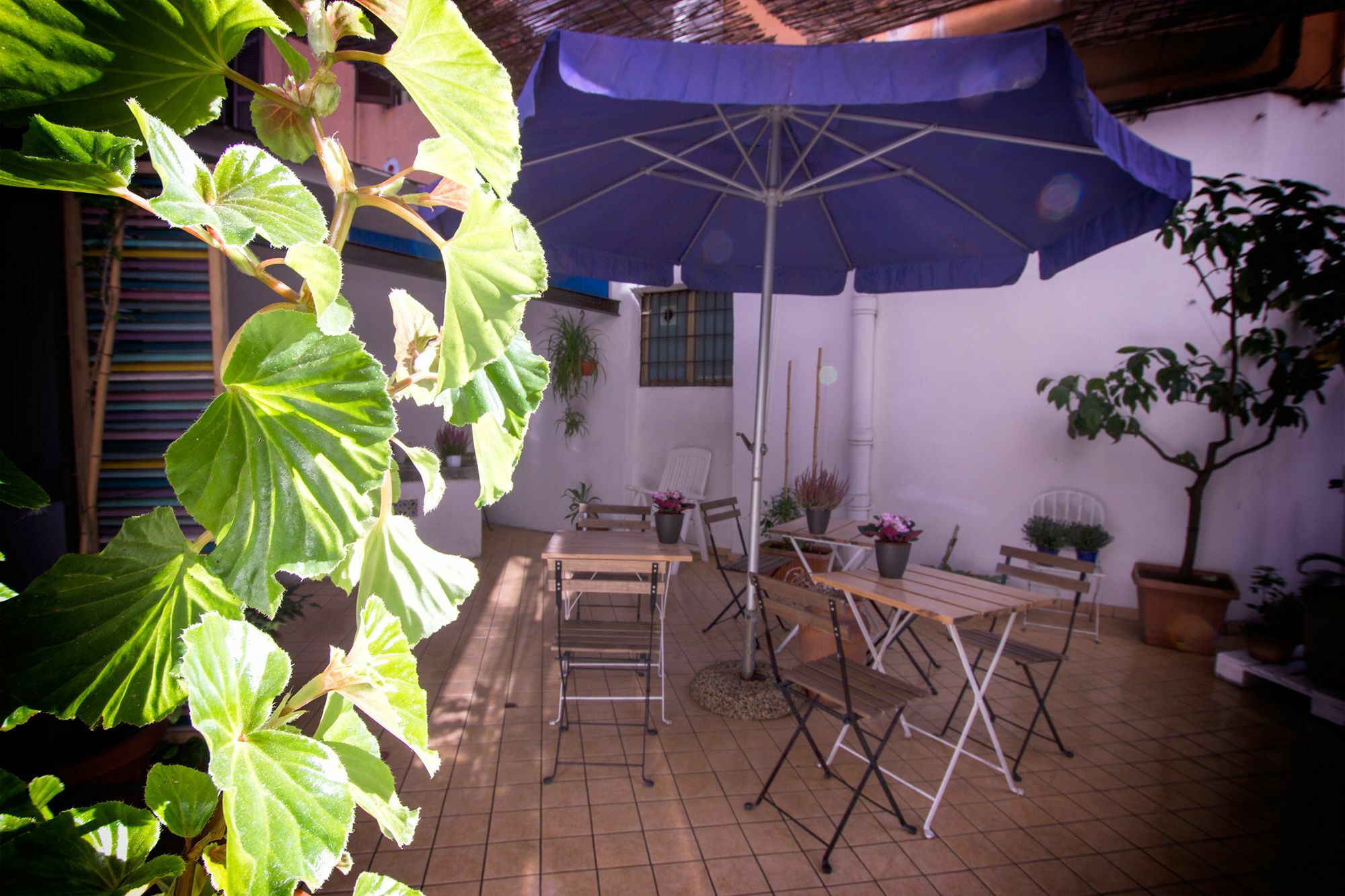 Casa Maplink Hotel Rome Buitenkant foto
